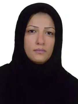 آرزو امینی